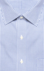 Wilkes & Riley Blue Pinpoint Check Spread Collar Alt