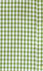 Tailored Fit Green Gingham Button-Down Collar Supima® Non-Iron Cotton Broadcloth Sport Shirt