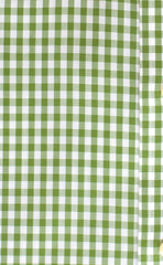 Tailored Fit Green Gingham Button-Down Collar Supima® Non-Iron Cotton Broadcloth Sport Shirt (B/T)