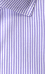 Wilkes & Riley Lavender Bengal English Spread Collar Alt