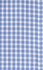 Slim Fit Blue Gingham English Spread Collar Supima® Cotton Non - Iron Broadcloth Dress Shirt - Wilkes & Riley, LLC